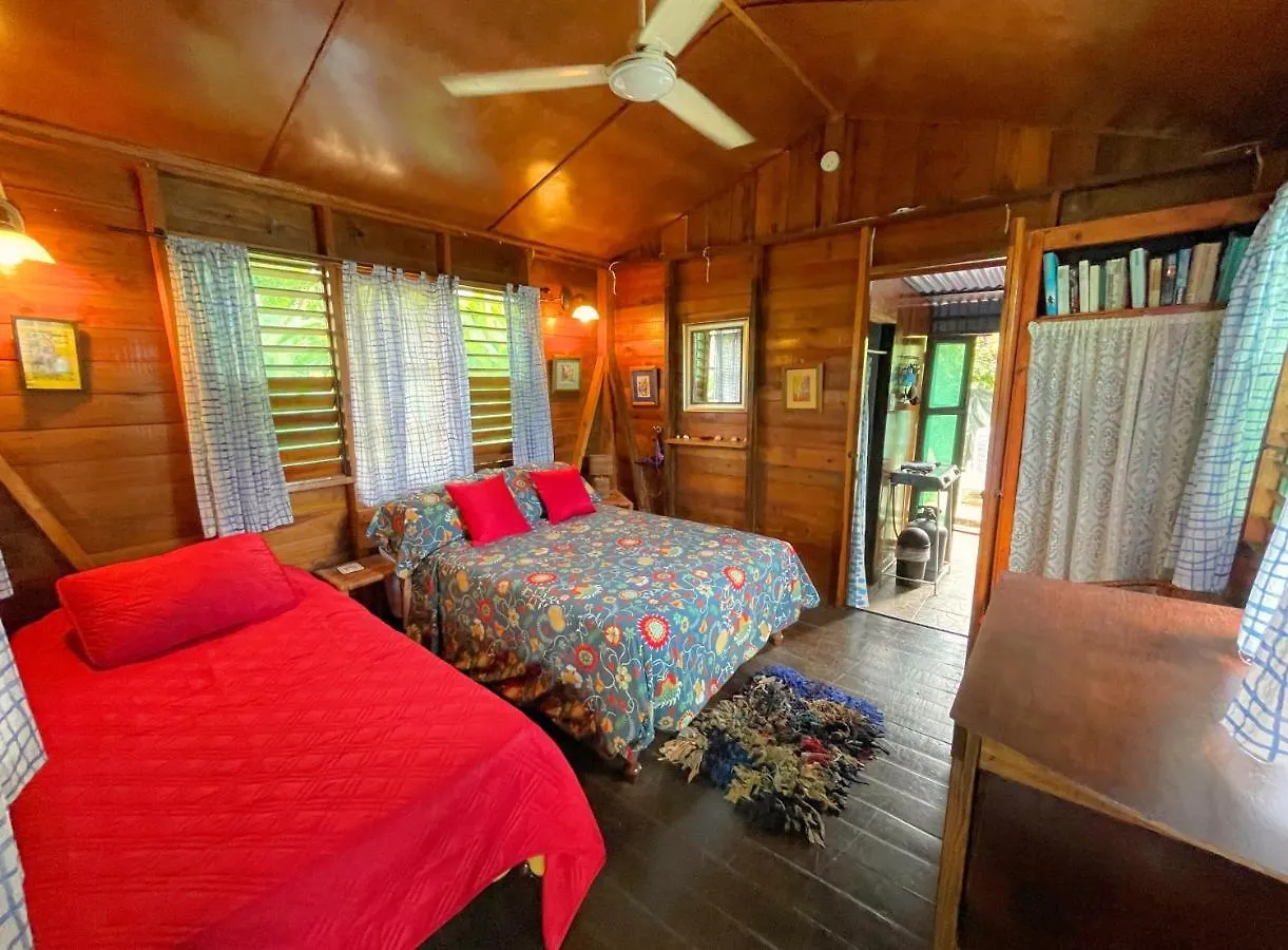 Hostal Judy House Cottages And Rooms Negril