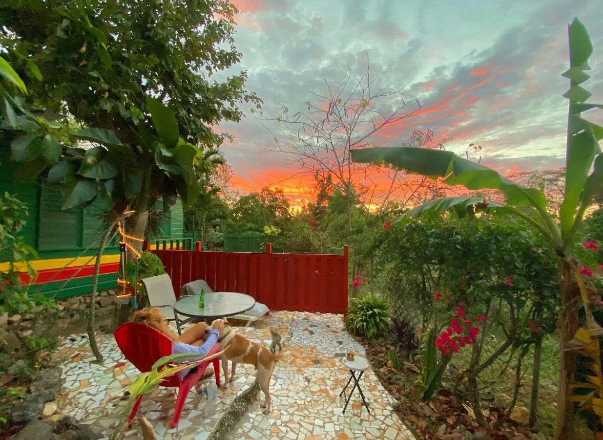 Judy House Cottages And Rooms Negril Hostal
