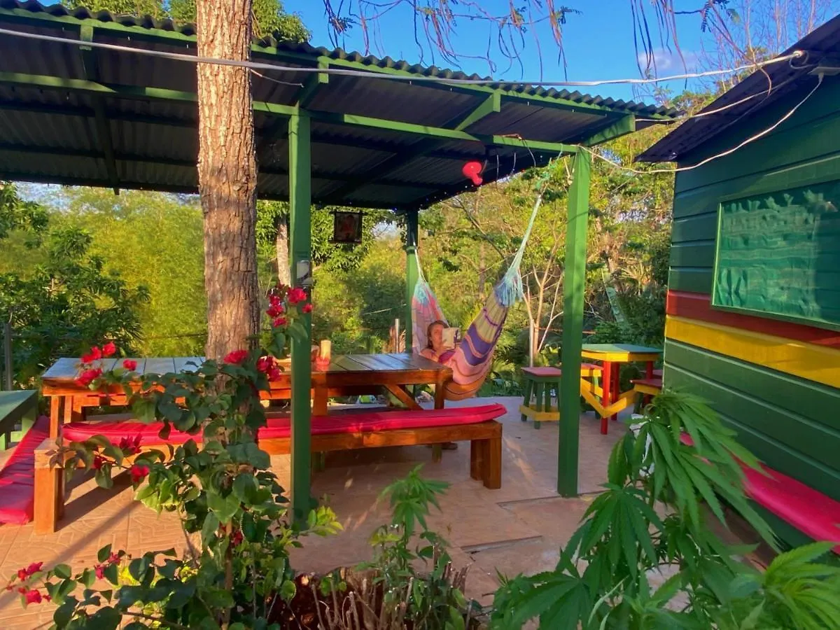 Hostal Judy House Cottages And Rooms Negril