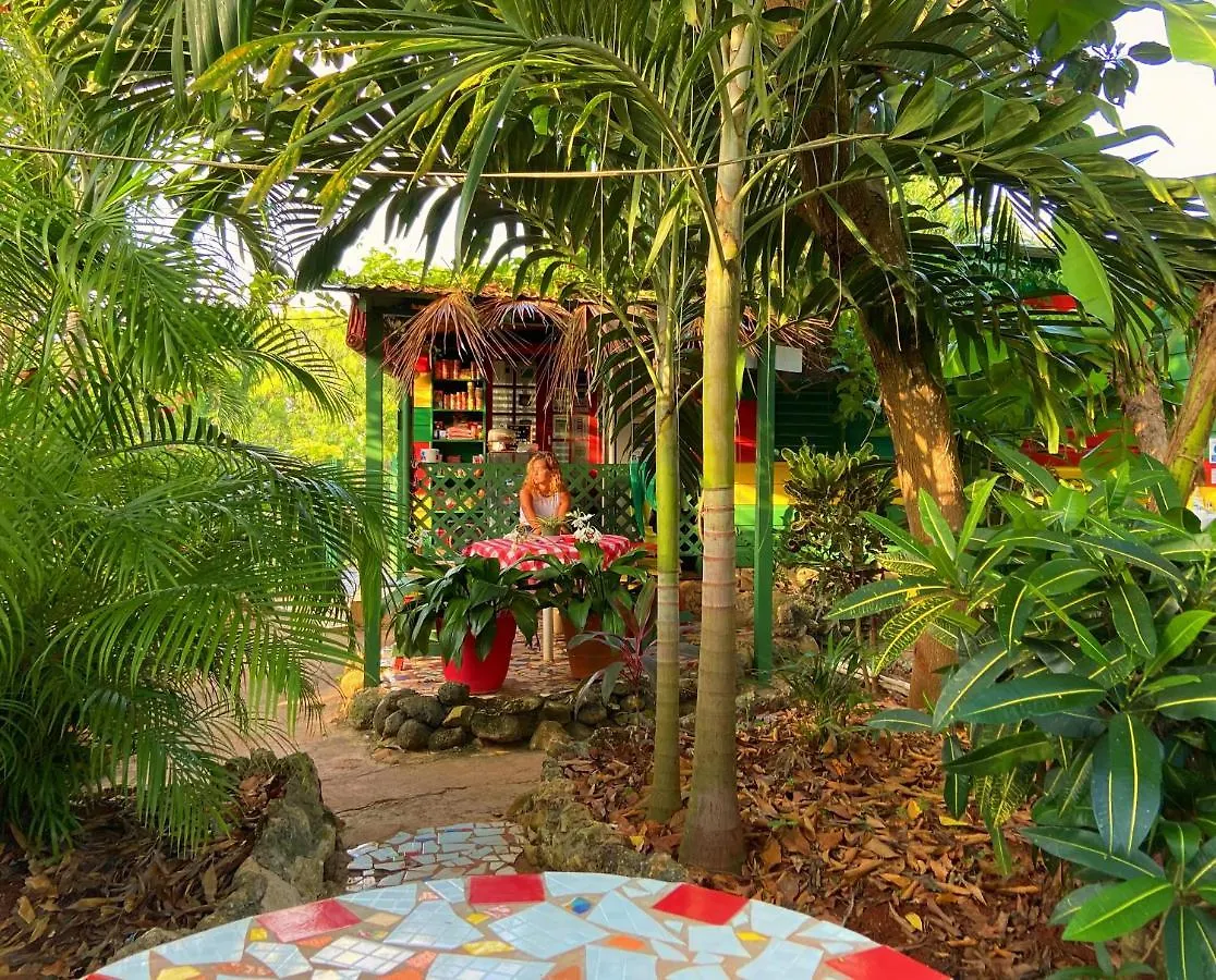 Vandrerhjem Judy House Cottages And Rooms Negril Jamaica