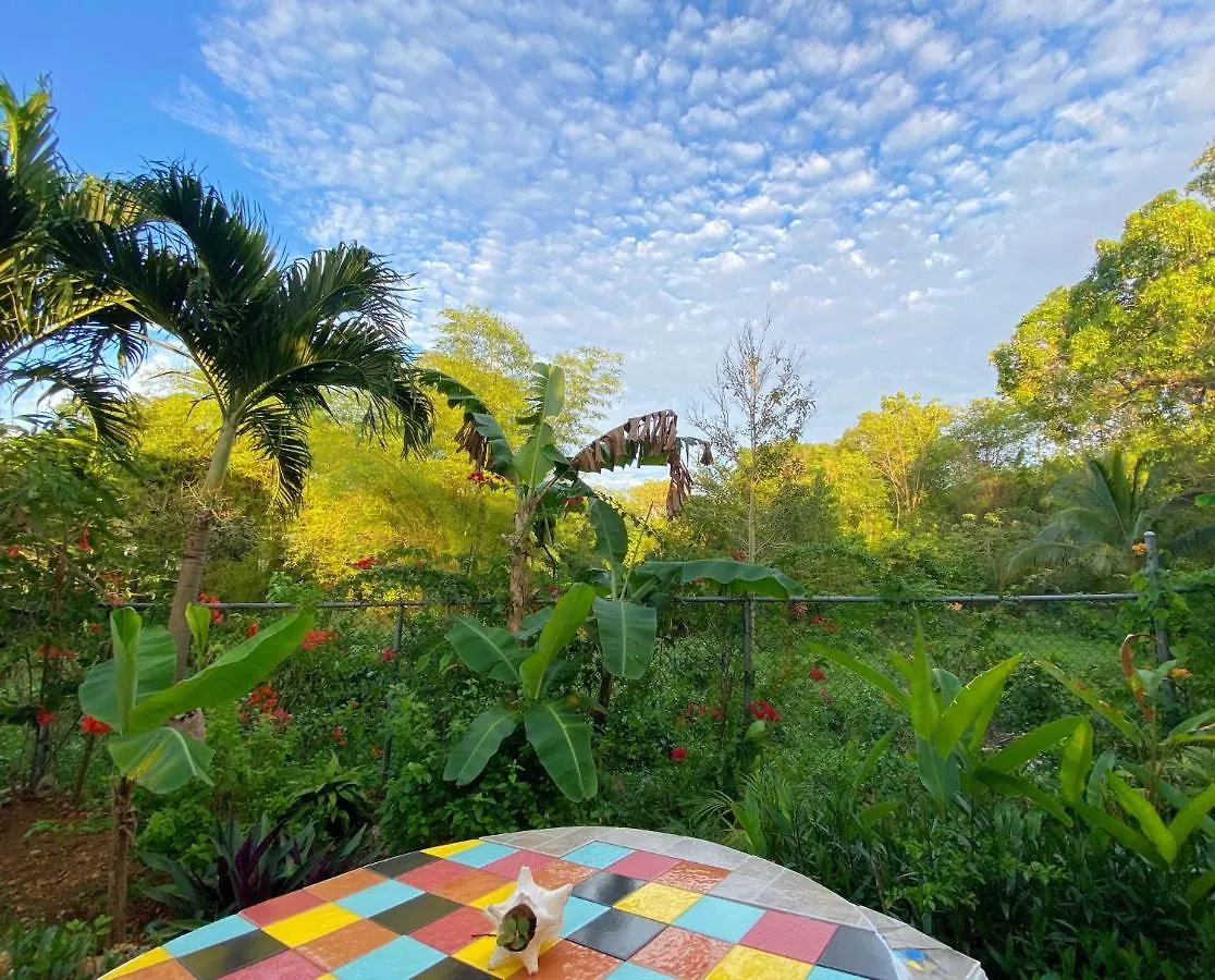 Judy House Cottages And Rooms Negril Vandrerhjem