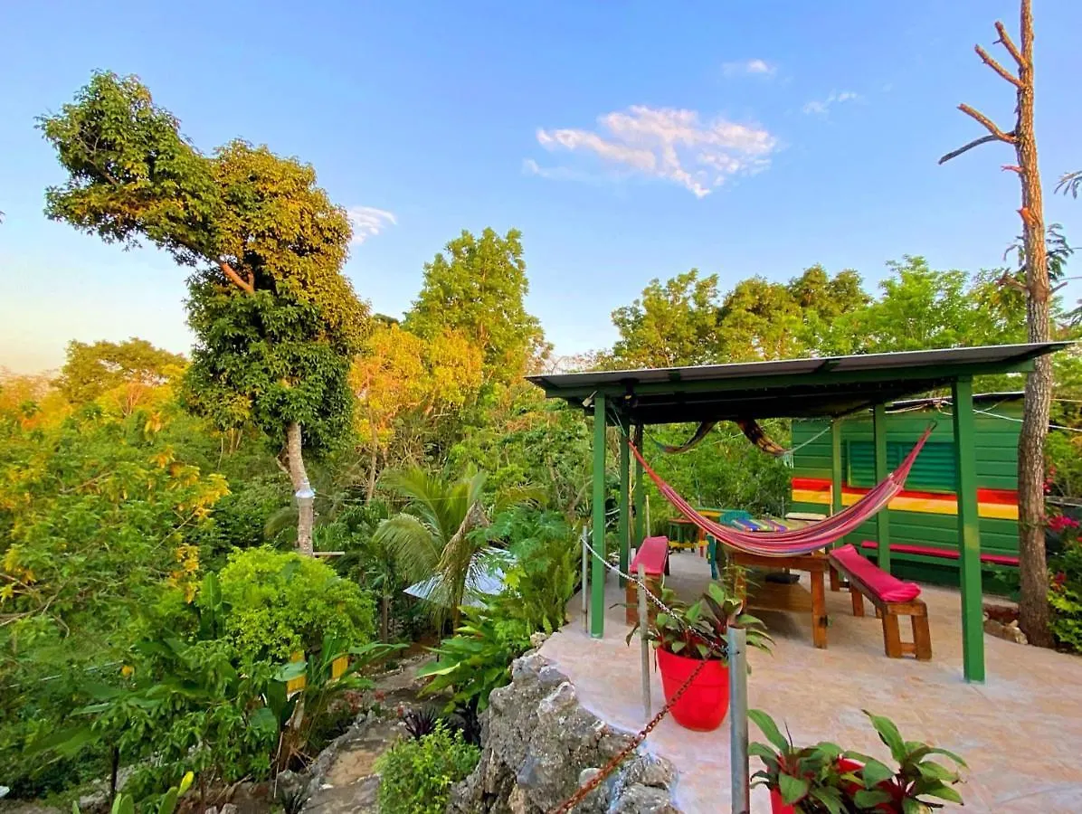 Judy House Cottages And Rooms Negril