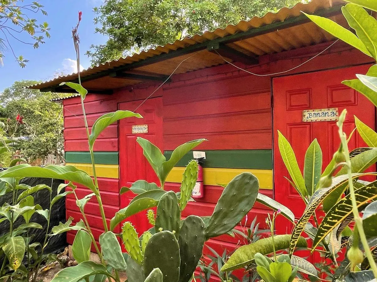 Judy House Cottages And Rooms Negril Vandrerhjem